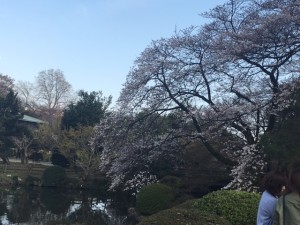 image1 (14) - コピー