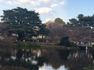 image2 (11) - コピー