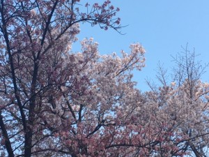 image6 (4)