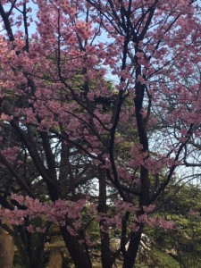 image8 (3)_副本