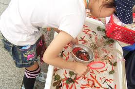 雷門金魚