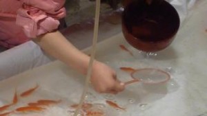 雷門金魚３