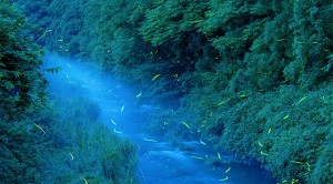 山梨４